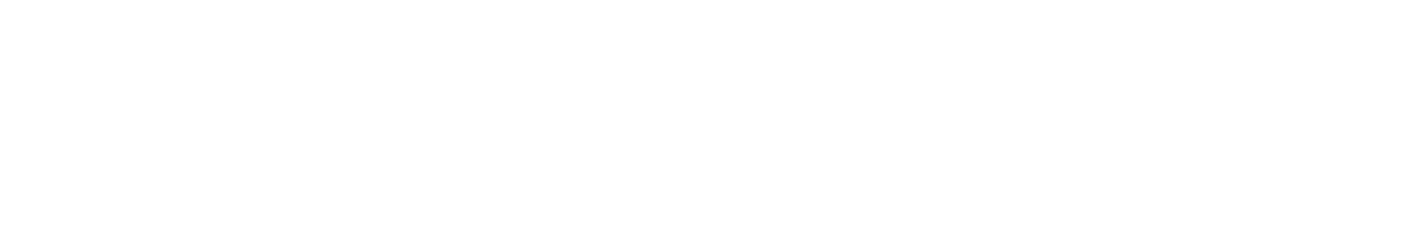 Luova Solution Logo White
